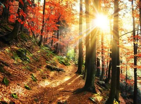 Casa de hóspedes Gaestehaus Kramer - Emde 3*